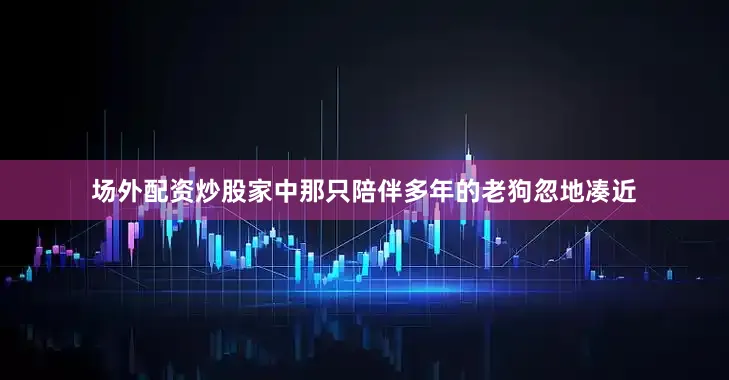 场外配资炒股家中那只陪伴多年的老狗忽地凑近
