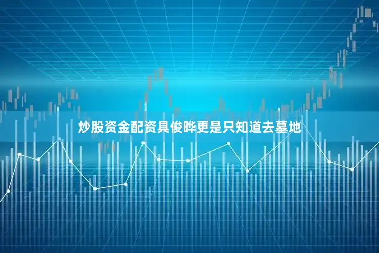 炒股资金配资具俊晔更是只知道去墓地